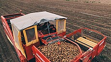 Krom klasických brambor prodává farma i loupané nebo vaené. (22. íjna 2025)