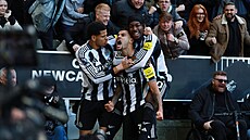 Fotbalisté Newcastlu se radují z vít�zné trefy proti Fulhamu.