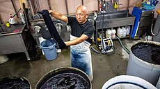 Mistr barví Joshiharu Okamoto ukazuje, jak barví tkaninu indigem pro výrobu...