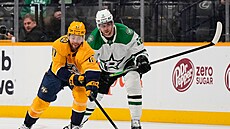 Radek Faksa nahání centra Nashvillu Tysona Josta.