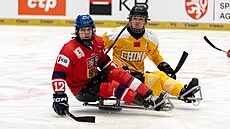 etí para hokejisté do turnaje v Ostrav vstoupili utkáním s ínou, které...
