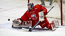 Branká� Olomouce Old�ich Cicho� zasahuje v utkání s Litvínovem.