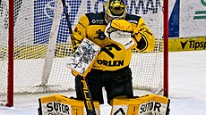 Litvínovský branká� Pavel �ajan chytá puk na hrudi.