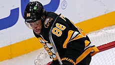 David Pastr�ák (88) z Boston Bruins p�esko�il Petra Mrázka (34) z Anaheim Ducks.