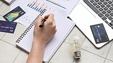 Pouhé dlení celkových náklad potem msíc zpravidla není pro výpoet...