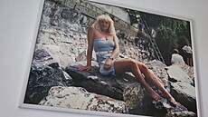 Zpvaka byla vdy koka, to ostatn dokládá i vystavená fotografie. 