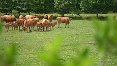 EKOFARMA Jaroslav Netík