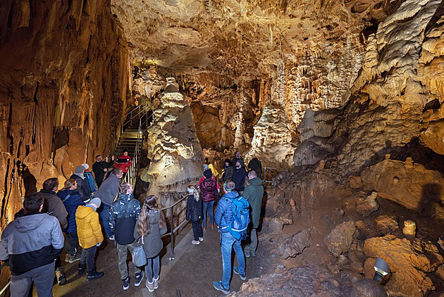 Netopýři se chystají k zimnímu spánku, v jeskyních u Bouzova je můžete vidět