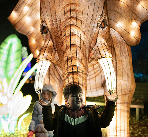 OBRAZEM: Svítící lev i panda. Pražskou zoo rozzáří Divoká Asie, láká i na novinku