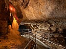 V Javo�i�sk�ch jeskyn�ch se v listopadu kon� tradi�n� Usp�v�n� netop�r� v...