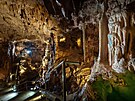 V Javo�i�sk�ch jeskyn�ch se v listopadu kon� tradi�n� Usp�v�n� netop�r� v...