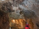 V Javo�i�sk�ch jeskyn�ch se v listopadu kon� tradi�n� Usp�v�n� netop�r� v...