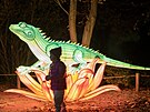 Svtelná výstava Garden of Lights se vrátila do praské zoo. (30. íjna 2025)
