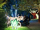 Svtelná výstava Garden of Lights se vrátila do praské zoo. (30. íjna 2025)