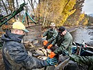 Podzimní výlov Behyského rybníka v Národní pírodní rezervaci...