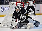 Losangeleský gólman Darcy Kuemper b�hem duelu s Detroit Red Wings.