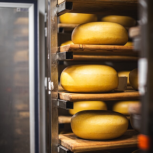 Potraviny k nezaplacen: Objevujte chut Regionlnch potravin.