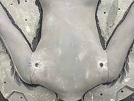 Modelka Heidi Klumová zveejnila na svém Instagramu nápovdu na svj letoní...