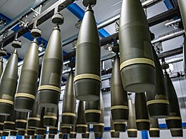 ilustra�ní snímek