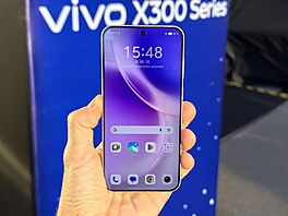 Vivo X300