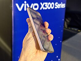 Vivo X300