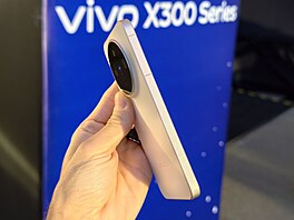 Vivo X300