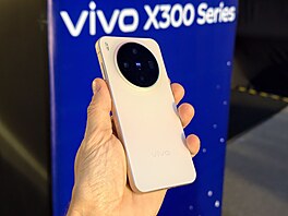 Vivo X300