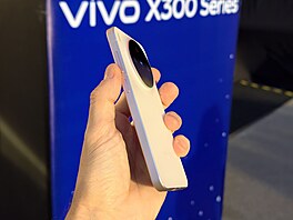 Vivo X300