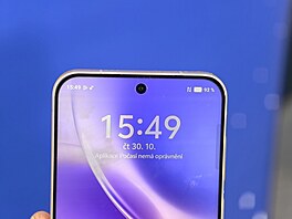 Vivo X300