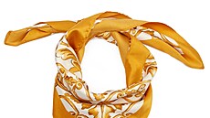 Ilustra�ní snímek