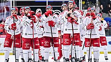 Zklamaní t�ine�tí hokejisté po proh�e v Hradci.