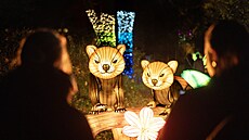 Sv�telná výstava Garden of Lights se vrátila do pra�ské zoo. (30. �íjna 2025)