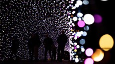 Sv�telná výstava Garden of Lights se vrátila do pra�ské zoo. (30. �íjna 2025)