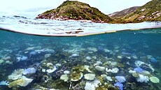 Australský ostrov Lizard Island, který se nachází v oblasti Velkého bariérového...