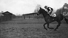 okej a pozdji slavný spisovatel Dick Francis.