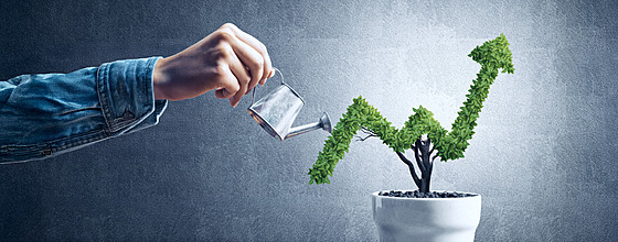 Praktický návod pro za�ínající podnikatele, jak rozjet sv�j první online byznys...