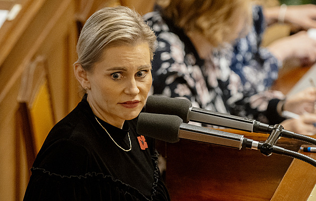 Stát slibuje po vraždě tříleté dívky reformu. Děti nebyly prioritou, říká Malá
