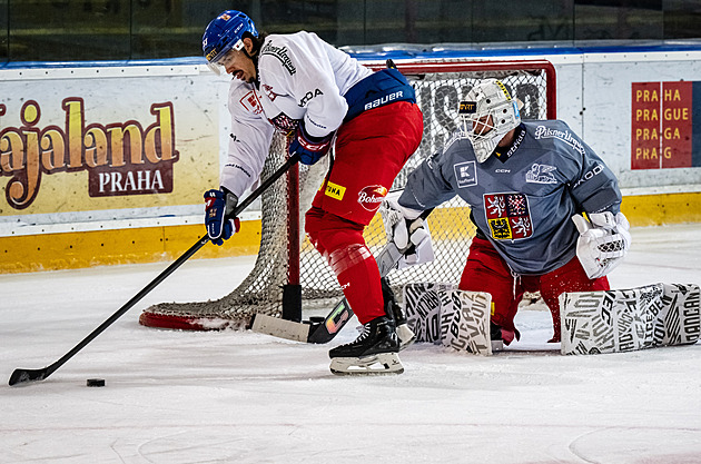 Válec z Davosu. Stránský navazuje na legendu a věří: Mám naději na olympiádu
