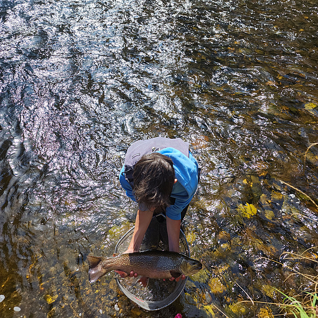 Ulovil majestátního tygřího pstruha. Příběh mladého muškaře z Otavy