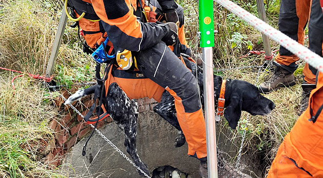Lovecký pes spadl na Kladensku do studny, hasiči zvíře vytáhli nezraněné