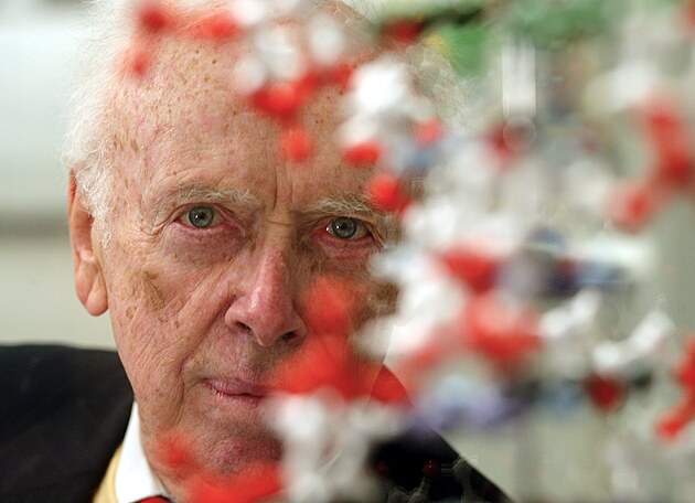 V�dec James Watson, kter� pomohl objevit struktury DNA.