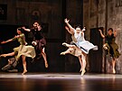 Baletn� soubor �aldova divadla v Liberci nastudoval nov� p�edstaven� Frida,...