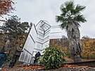 V Botanick zahrad v Maleicch vznikl kvli ochran vzcn palmy druhu...