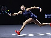 Amanda Anisimovová s obrovským úsilím dobíhá míek.