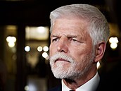 Prezident Petr Pavel bhem setkání se svým slovenským protjkem Peterem...