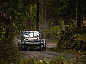 Sebastian Ogier na trati Japonské rallye.