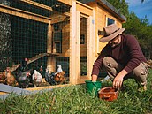 Prima TV, Farma Vojty Kotka