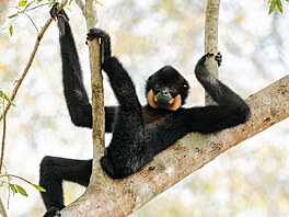 Toto je naprostá klasika, která v�ak nikdy neomrzí. Diana Rebmanová a relax v...