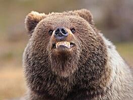 �Usmívej se, bude fotka!� Takto si s apelem poradil na snímku Valtteriho...