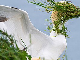 Alison Tucková se do výb�ru dostala s fotografií dezorientovaného tereje.